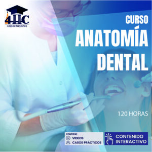 Curso Anatomía Dental 120 Hrs