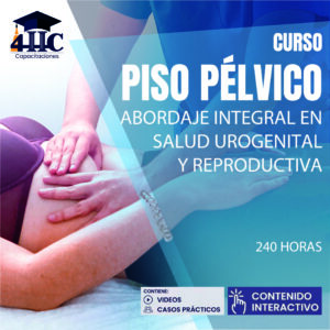 Curso PISO PÉLVICO: Abordaje integral en salud urogenital y reproductiva 240 hrs